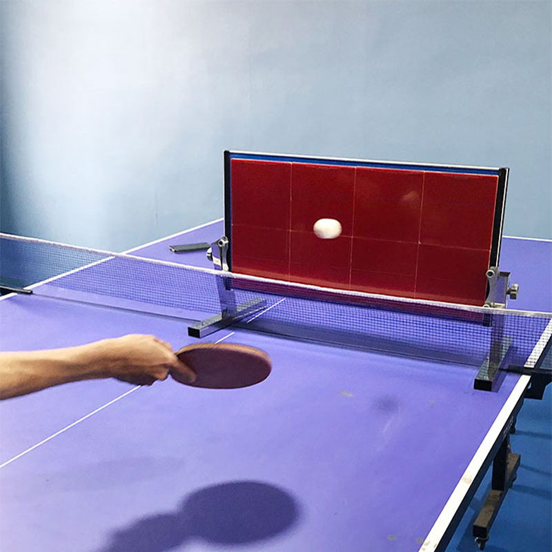 Table Tennis Eleven - Home Table Tennis Rebound Board Ping