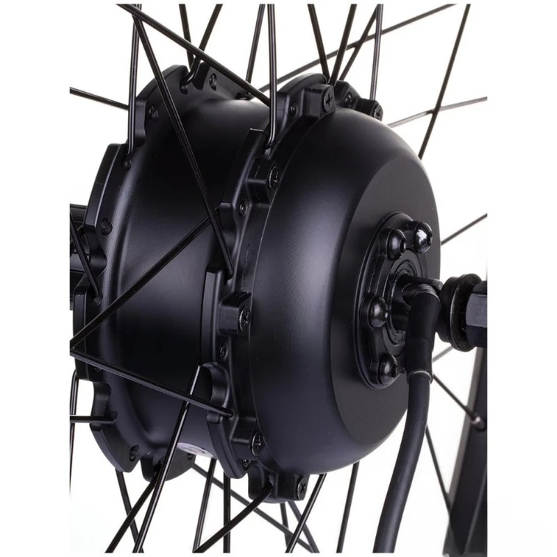 Power front bicycle modified e - огляд і ціна Rubber Booster Speed