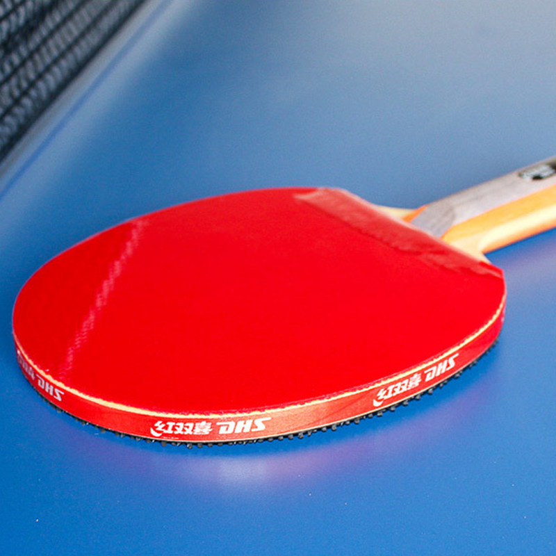 DHS Self-adhesive Table Tennis - огляд і ціна Table Tennis Paddle Set